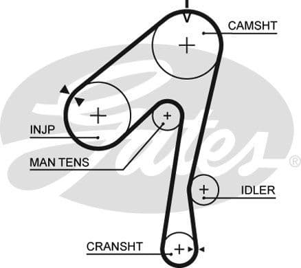 Timing Belt PowerGrip™ 5320XS - image 2