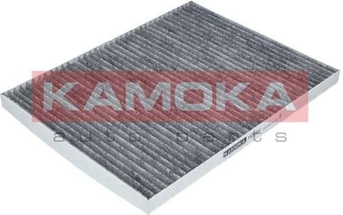 Filter, cabin air F500301