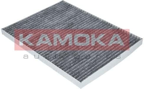Filter, cabin air F500301 - image 4