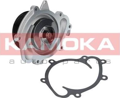 Water Pump, engine cooling T0073