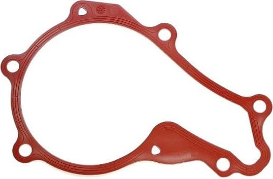 Gasket, water pump 569.350