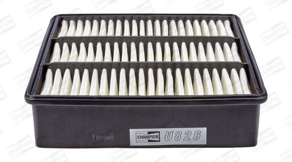 Air Filter CAF100826P