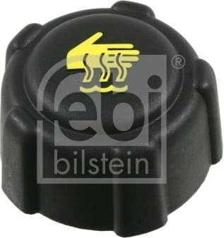 Cap, coolant tank 22085