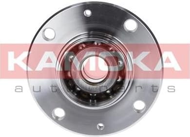 Wheel Bearing Kit 5500004