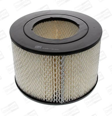 Air Filter CAF100209R