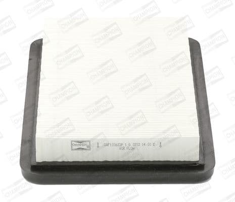 Air Filter CAF100623P