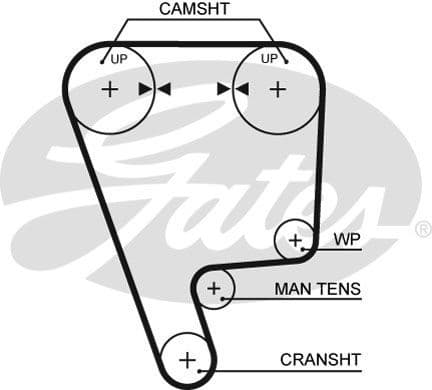 Timing Belt PowerGrip™ 5349XS