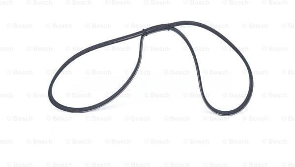 V-ribbed Belt 1987947883