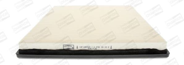 Air Filter CAF100598P