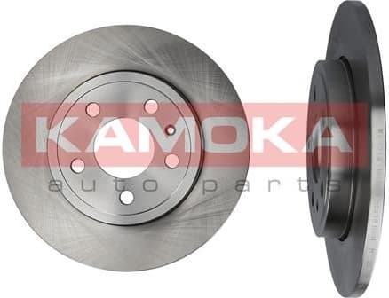 Brake Disc 1032846