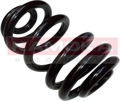 Coil spring 2120254