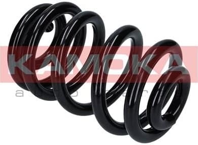Coil spring 2120254 - image 5