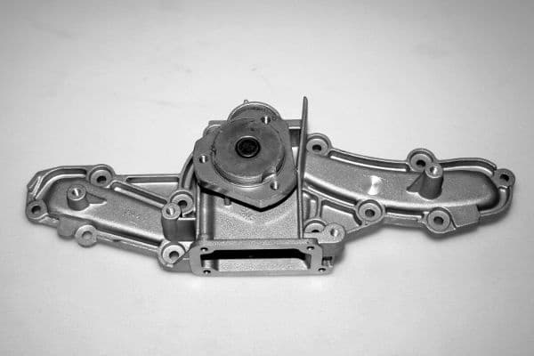 Water Pump, engine cooling P1029