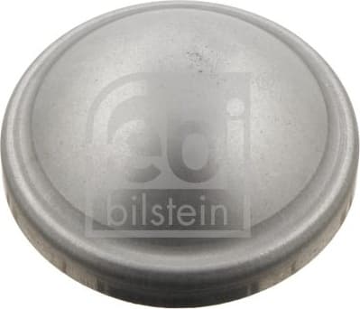 Cap, wheel bearing 29854
