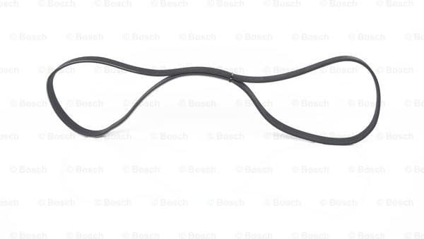 V-ribbed Belt 1987947981