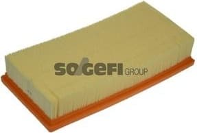 Air Filter A1365