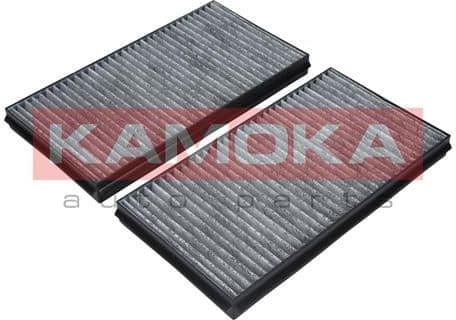 Filter, cabin air F505301