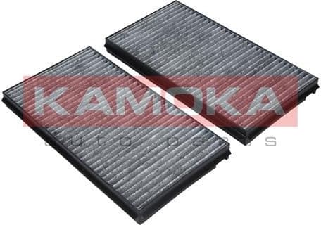 Filter, cabin air F505301 - image 2