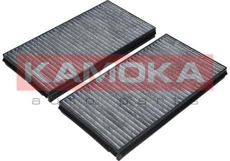 Filter, cabin air F505301 - image 3