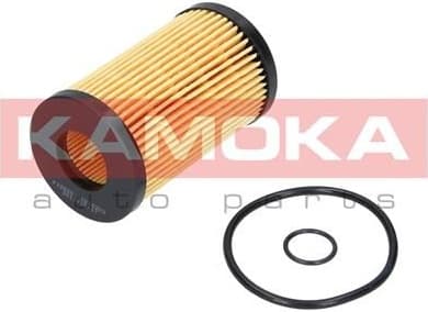 Oil Filter F105301