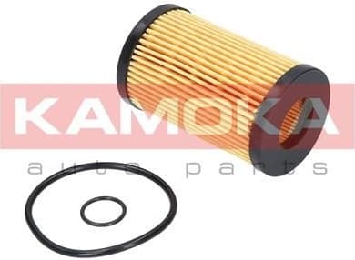 Oil Filter F105301 - image 2