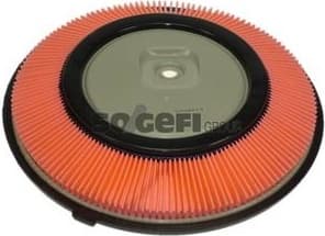 Air Filter A314