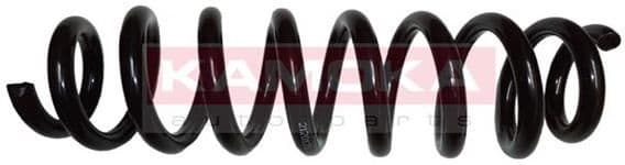 Coil spring 2120125