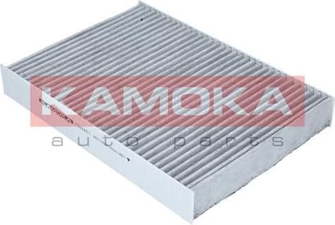 Filter, cabin air F509401