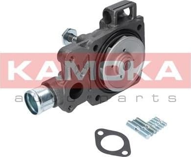 Water Pump, engine cooling T0166