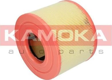 Air Filter F215201