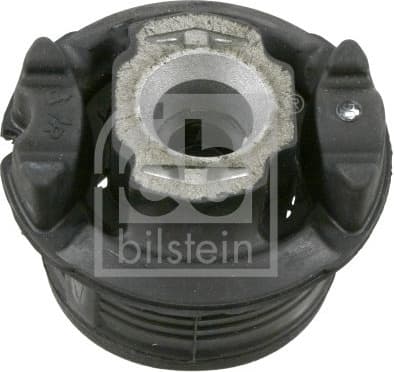 Bushing, axle beam 22666