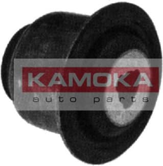 Mounting, control/trailing arm 8800098