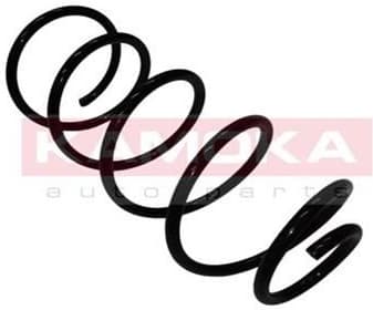 Coil spring 2110216