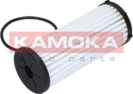 Hydraulic Filter, automatic transmission F603001 - image 4