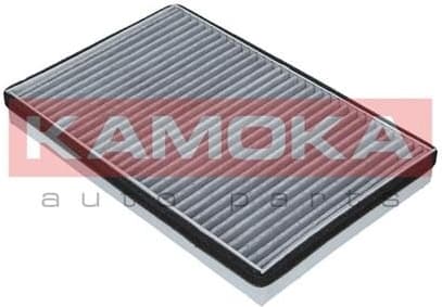 Filter, cabin air F503101 - image 2