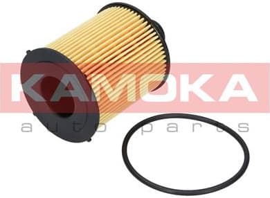 Filter oil F111501