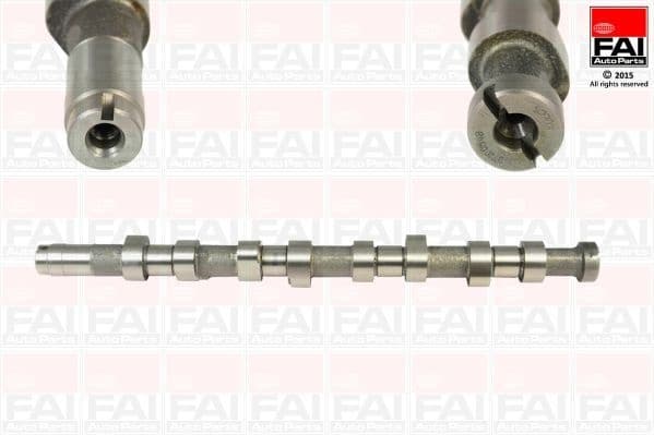 Camshaft C242