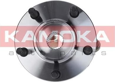 Wheel Bearing Kit 5500056