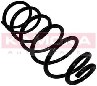 Coil spring 2120052