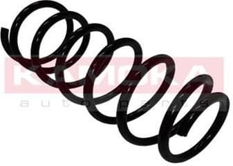 Coil spring 2110267