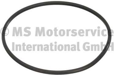 Seal, fuel tank cap 3.32038.02.0