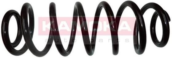 Coil spring 2120215