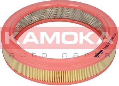 Air Filter F200301