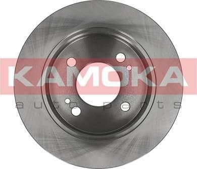 Brake Disc 1031027 - image 2