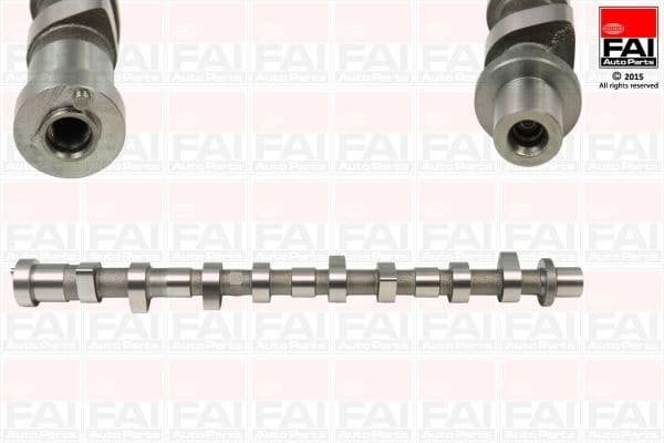 Camshaft C294