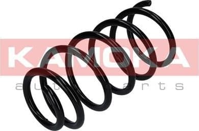 Coil spring 2120261