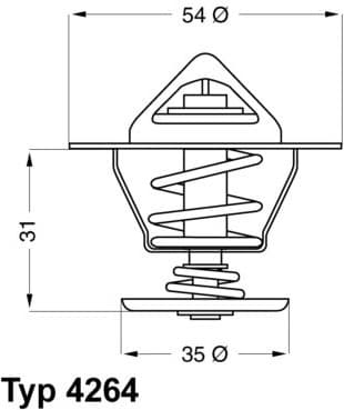  termostatas, aušinimo skystis