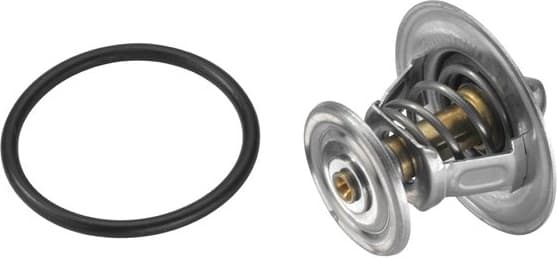 termostatas, aušinimo skystis - image 2