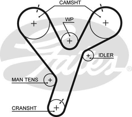 Timing Belt PowerGrip™ 5446XS - image 2