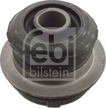 Mounting, control/trailing arm 02901